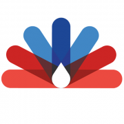 Stage M2 (2025-2026) : Unravelling the role of hematopoietic cell polarity in Acute Myeloid Leukemia
