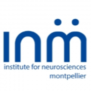 Stage M2 (2025-2026) : Contribution des processus neuroimmunitaires dans la maladie de Charcot